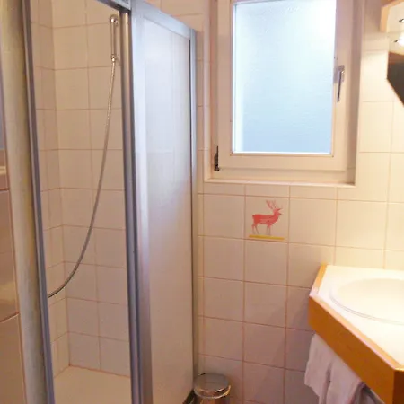 ヒルシェン グリンデルワルド 3*