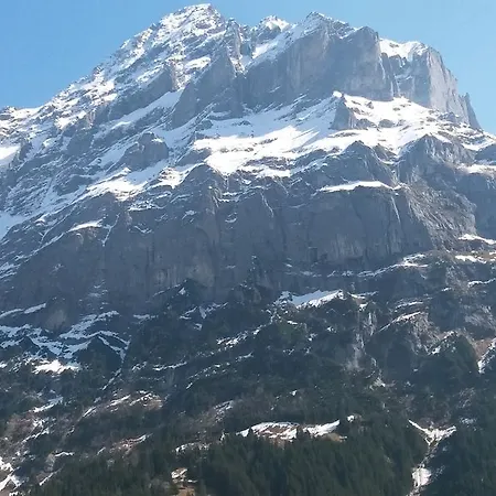 Hirschen - Grindelwald