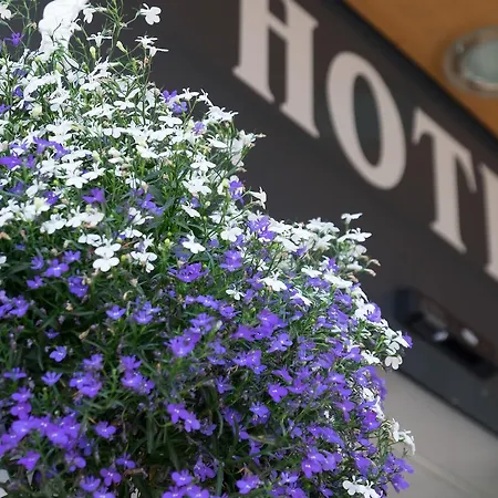 ヒルシェン グリンデルワルド 3*