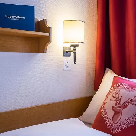 ホテル ヒルシェン グリンデルワルド 3*