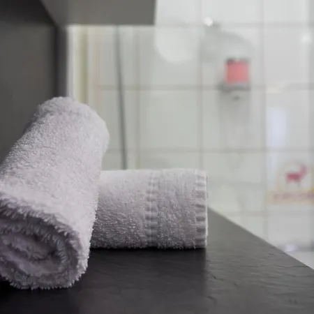 호텔 히르셴 - 3*