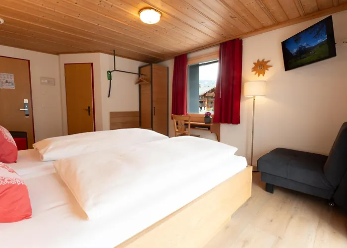 Hirschen - Hotel 3*