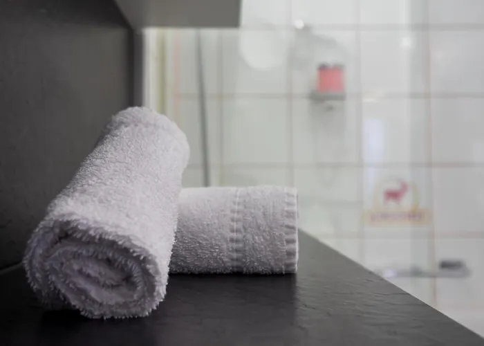 Hotell Hirschen - 3*